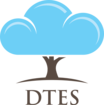 DTES SOLUTIONS